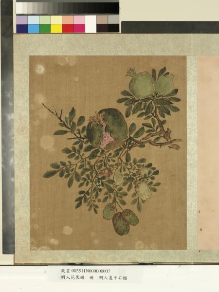 明人花果冊　冊　明人棗子石榴