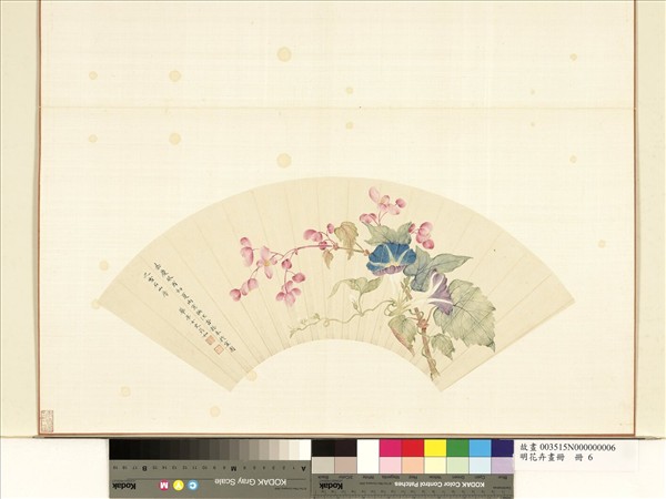 花卉畫冊　冊　清張筠如海棠牽牛花