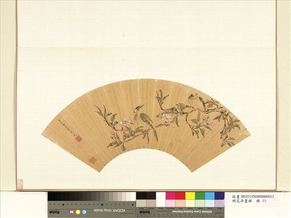 花卉畫冊　冊　明陳懿白頭海棠