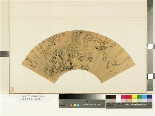 花卉畫冊　冊　明王醴月季