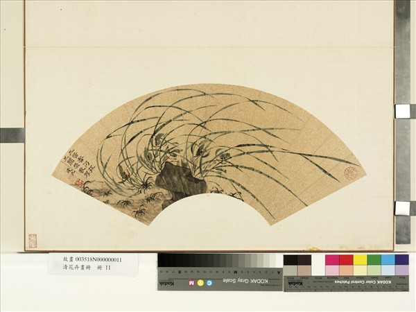 花卉畫冊　冊　明王子新蘭花