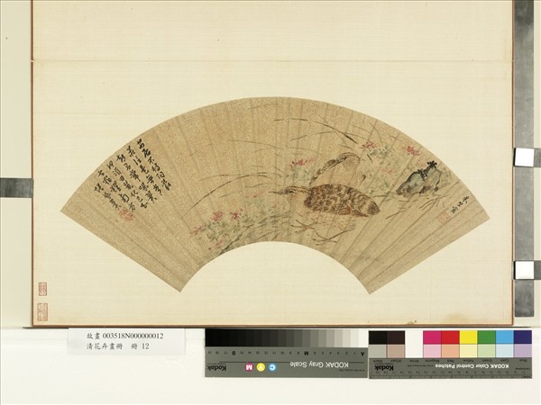 花卉畫冊　冊　明朱竺花卉鵪鶉