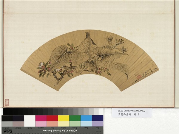 花卉畫冊　冊　清曹有光玉簪花