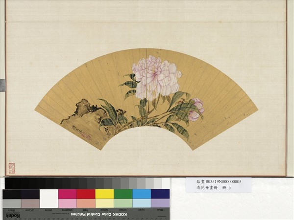 花卉畫冊　冊　清蔣廷錫芍藥