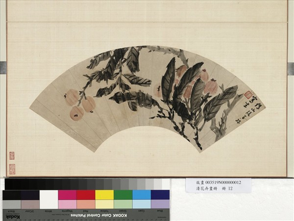 花卉畫冊　冊　清張百祿枇杷