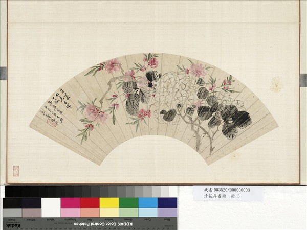 清花卉畫冊　冊　清人桃花繡球