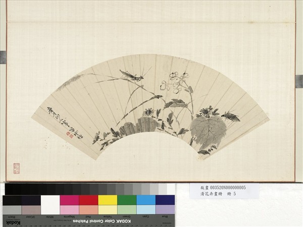 清花卉畫冊　冊　清人秋花