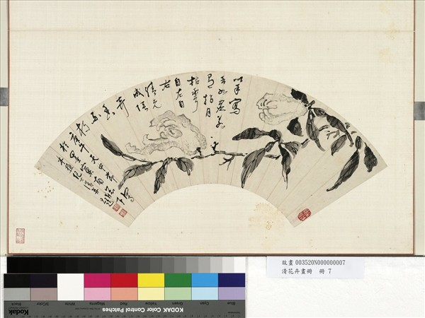 清花卉畫冊　冊　清紀大復佛手