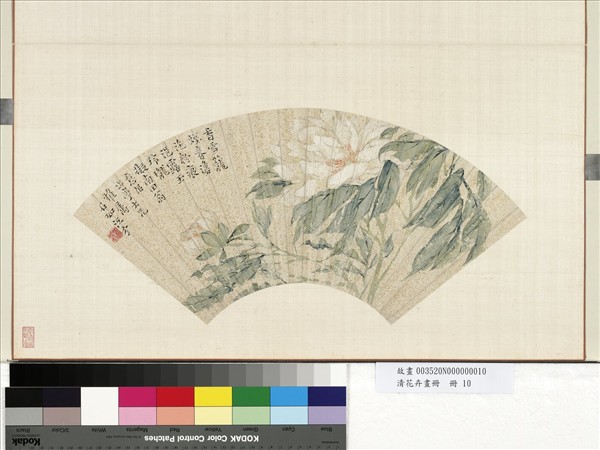 清花卉畫冊　冊　清江介花卉