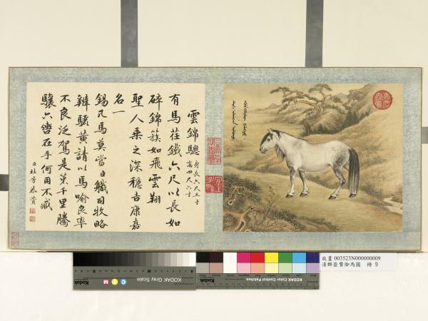 清群臣贊御馬圖　冊　清人雲錦驄