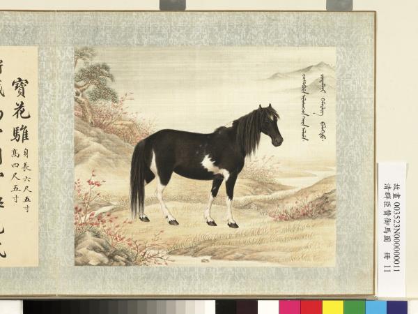 清群臣贊御馬圖　冊　清人寶花騅