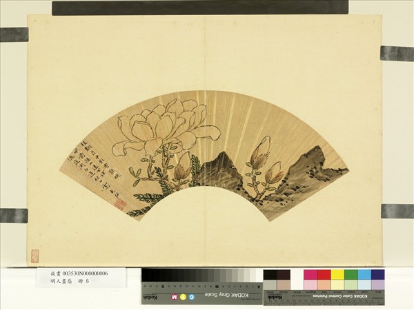 明人畫扇　冊　明孫克弘玉蘭
