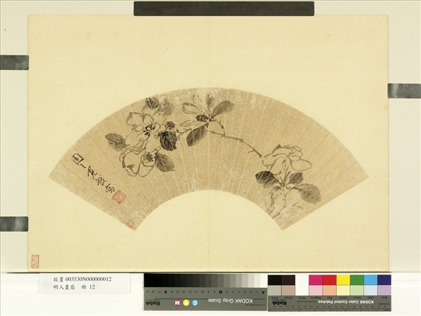 明人畫扇　冊　明周之冕梔子花