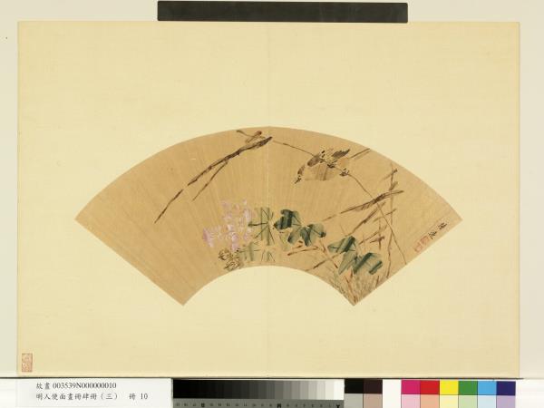 明人便面畫冊（三）　冊　明陸遠芙蓉水鳥