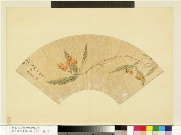 明人便面畫冊（三）　冊　明文從簡枇杷