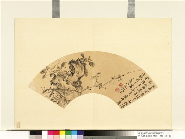 明人便面畫冊（四）　冊　明胡德位茶梅寫生