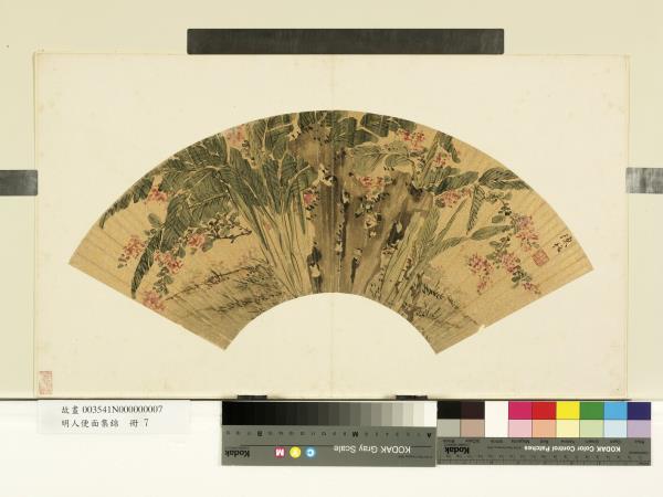 明人便面集錦　冊　明陳栝芭蕉紫薇