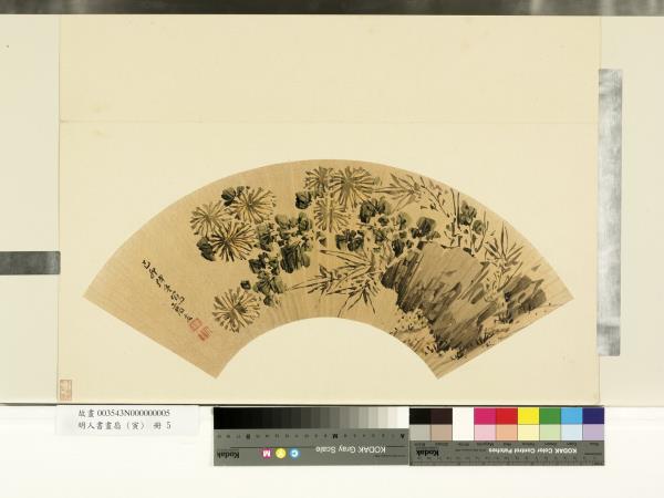 明人書畫扇 (寅)　冊　明高友竹菊圖