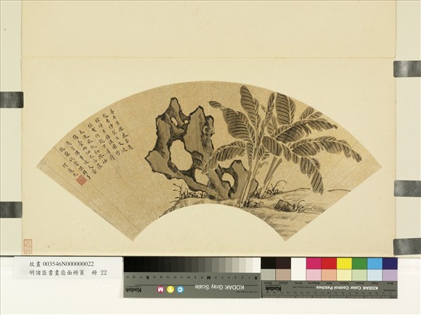 明諸臣書畫扇面冊頁　冊　明何道光芭蕉奇石