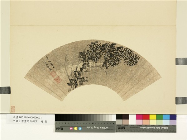 明諸臣書畫扇面冊頁　冊　明王尚廉墨菊
