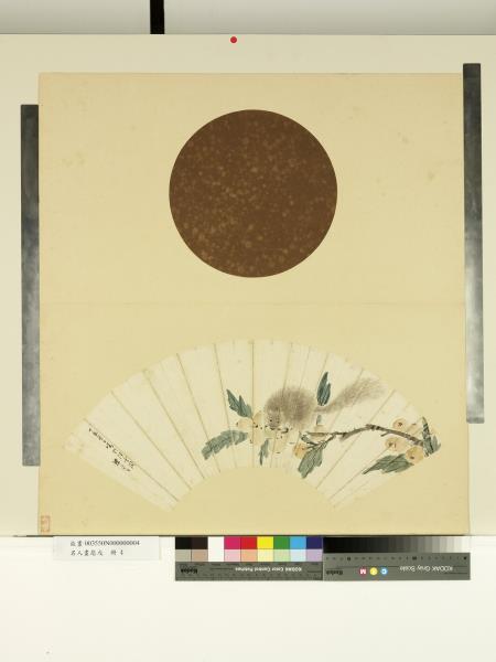 名人畫扇 (戊)　冊　明陳嘉言枇杷松鼠