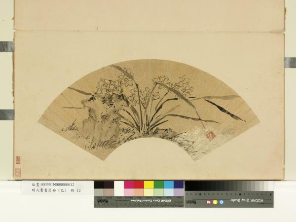 明人書畫扇面（己） 冊明陳淳水仙- 故宮