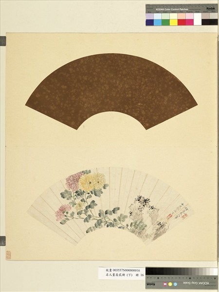 名人畫扇貳冊 (下)　冊　清張蘭菊石