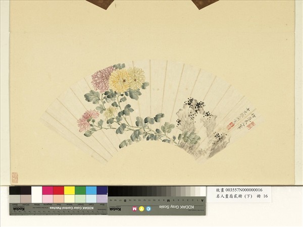 名人畫扇貳冊 (下)　冊　清張蘭菊石