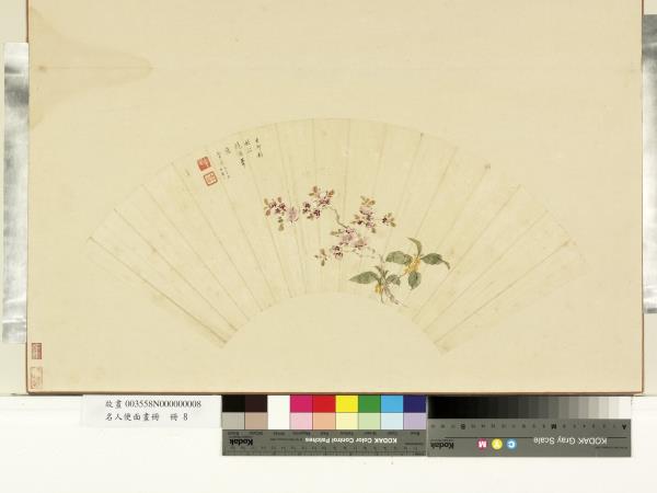 名人便面畫冊　冊　清童基法鮑瞻花卉