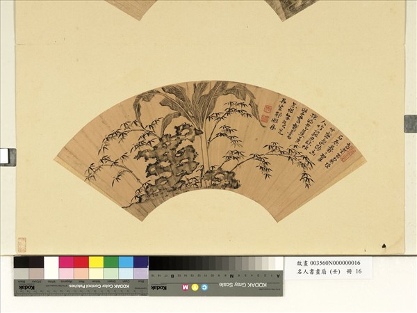 名人書畫扇（壬）　冊　明郟鼎芭蕉奇石