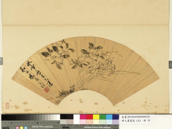 明人畫扇（元）　冊　明陳淳花卉