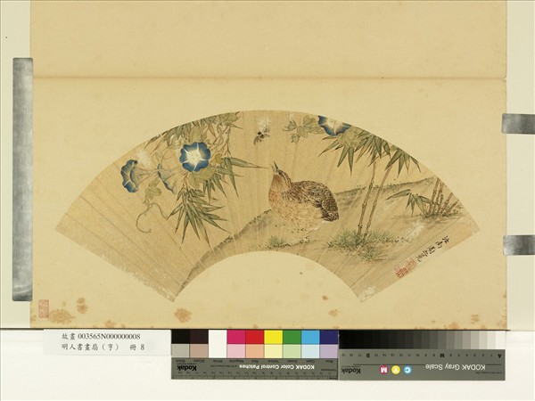 明人畫扇（亨）　冊　明周之冕竹鳥牽牛