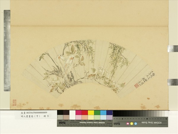 明人畫扇（亨）　冊　明周之冕楊枝小鳥