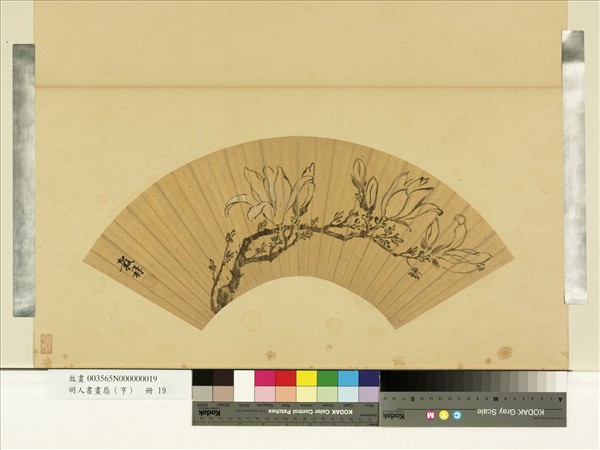 明人畫扇（亨）　冊　明王穀祥木筆花開