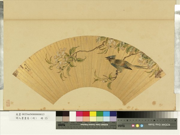 明人畫扇（利）　冊　明朱士瑛海棠山鵲