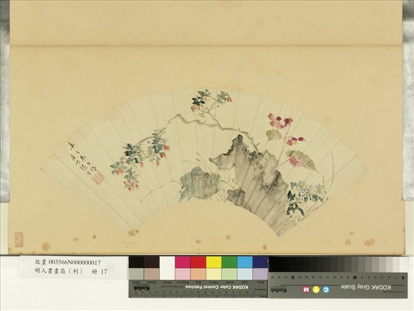 明人畫扇（利）　冊　明張寅秋海棠枸杞子