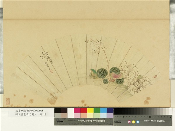 明人畫扇（利）　冊　明牟義虎耳草青蛙