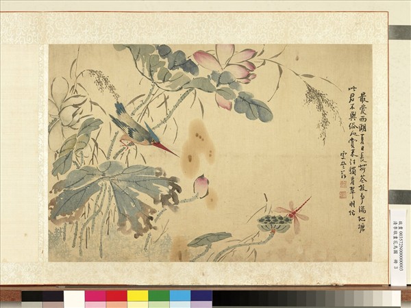 清李敬畫花鳥圖　冊　荷花蜻蜓