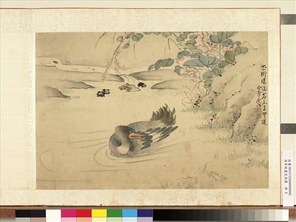 清李敬畫花鳥圖　冊　芙蓉蘆鴨