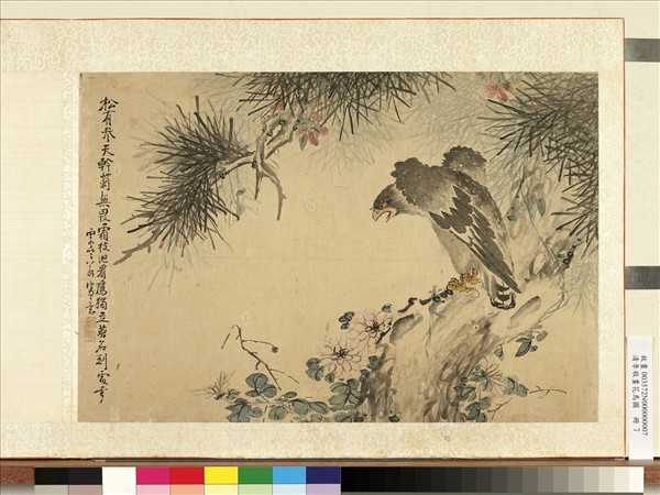 清李敬畫花鳥圖　冊　松菊老鷹