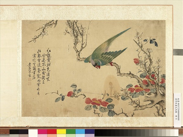 清李敬畫花鳥圖　冊　白梅鸚鵡