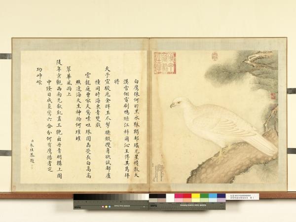 清黎明畫白鷹海東青　冊　松鷹