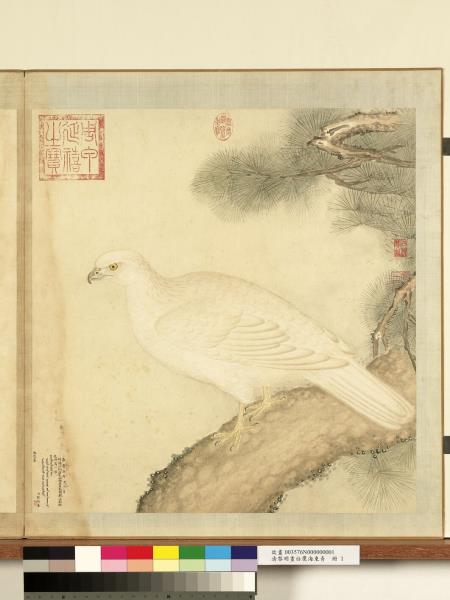 清黎明畫白鷹海東青　冊　松鷹