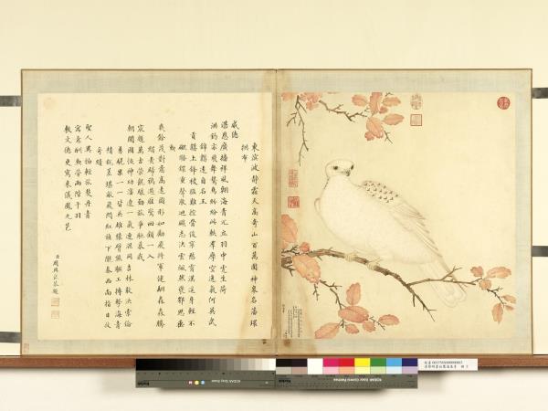 清黎明畫白鷹海東青　冊　海東青