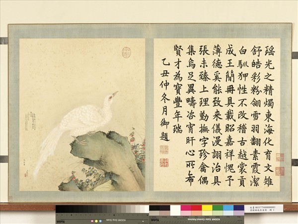 清程琳瑞表金英　冊　白雉