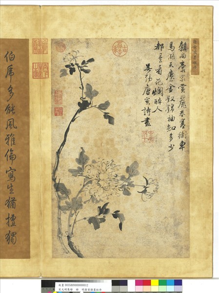 宋元明集繪　冊　明唐寅潑墨牡丹