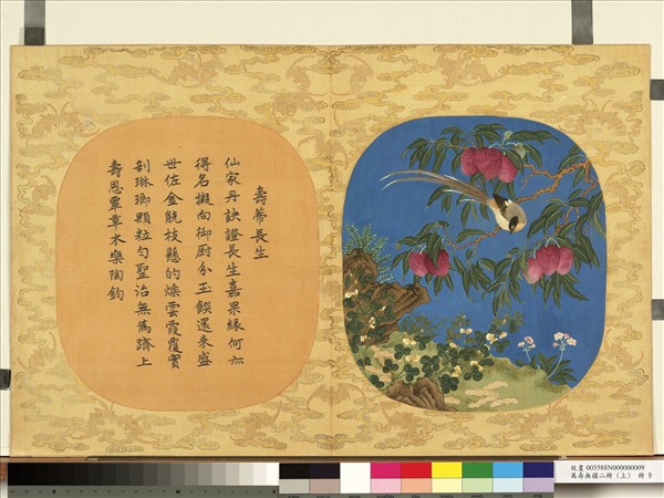 萬壽無疆二冊 (上)　冊　壽蒂長生