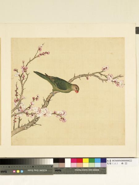 鳥譜（二）　冊　綠丁香鳥