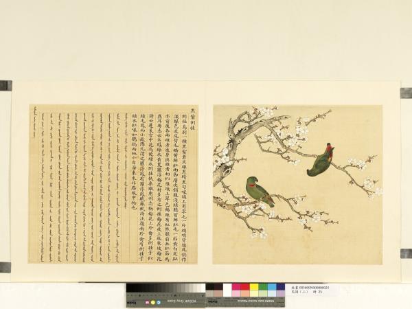 鳥譜（二）　冊　黑嘴倒掛