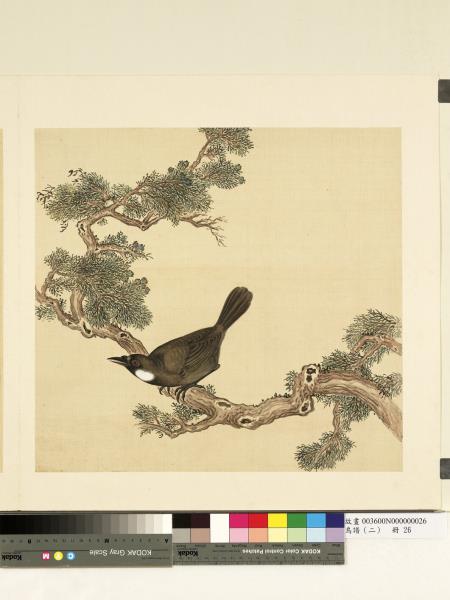 鳥譜（二）　冊　珊瑚鳥